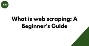 What is web scraping A Beginner's Guide